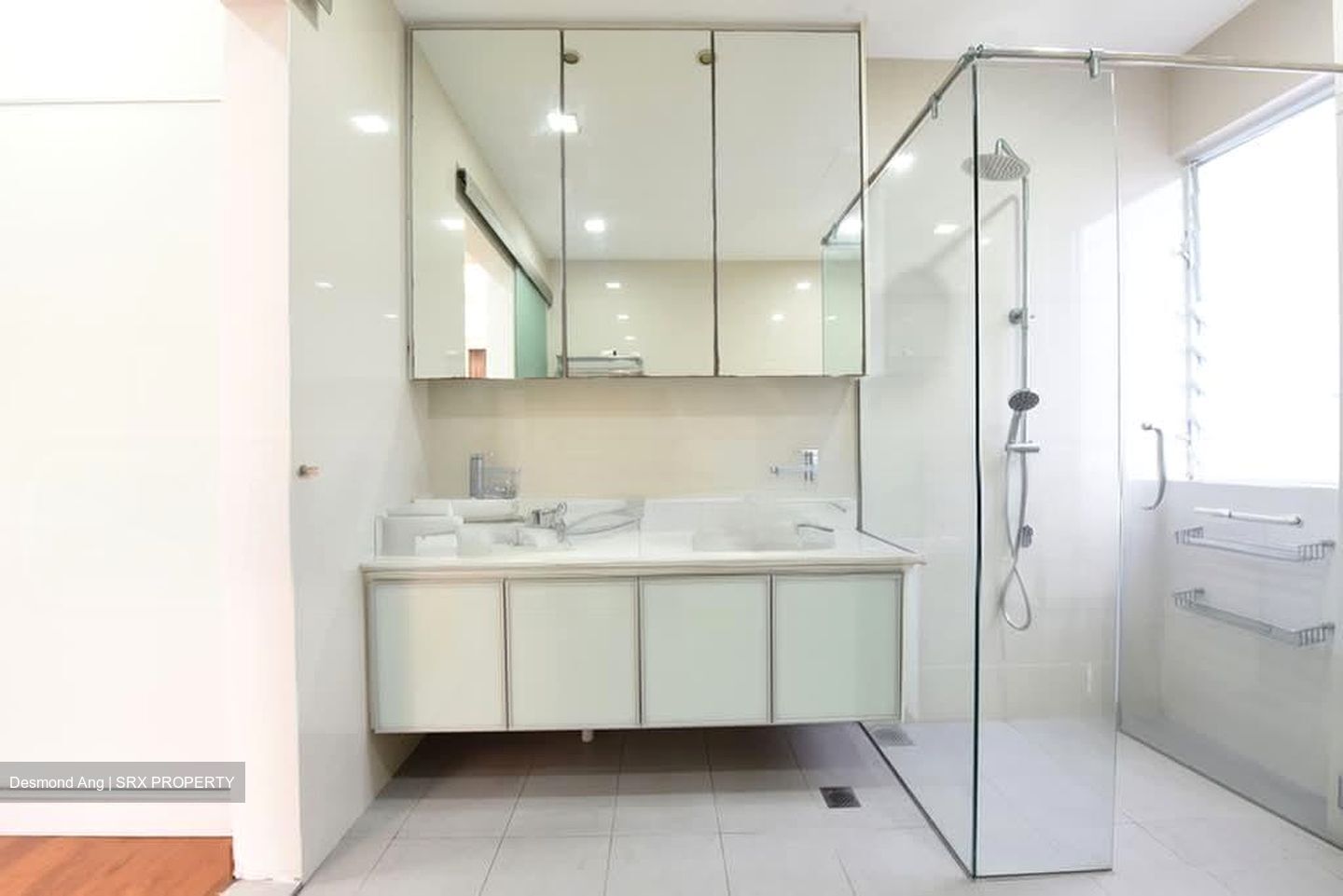 Regency Park (D10), Condominium #592520431